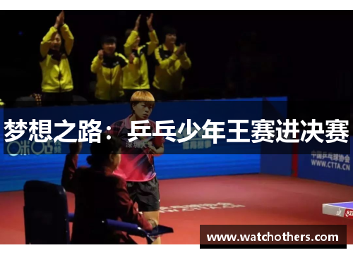梦想之路：乒乓少年王赛进决赛